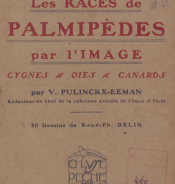 Les Races de palmipèdes par l'Image